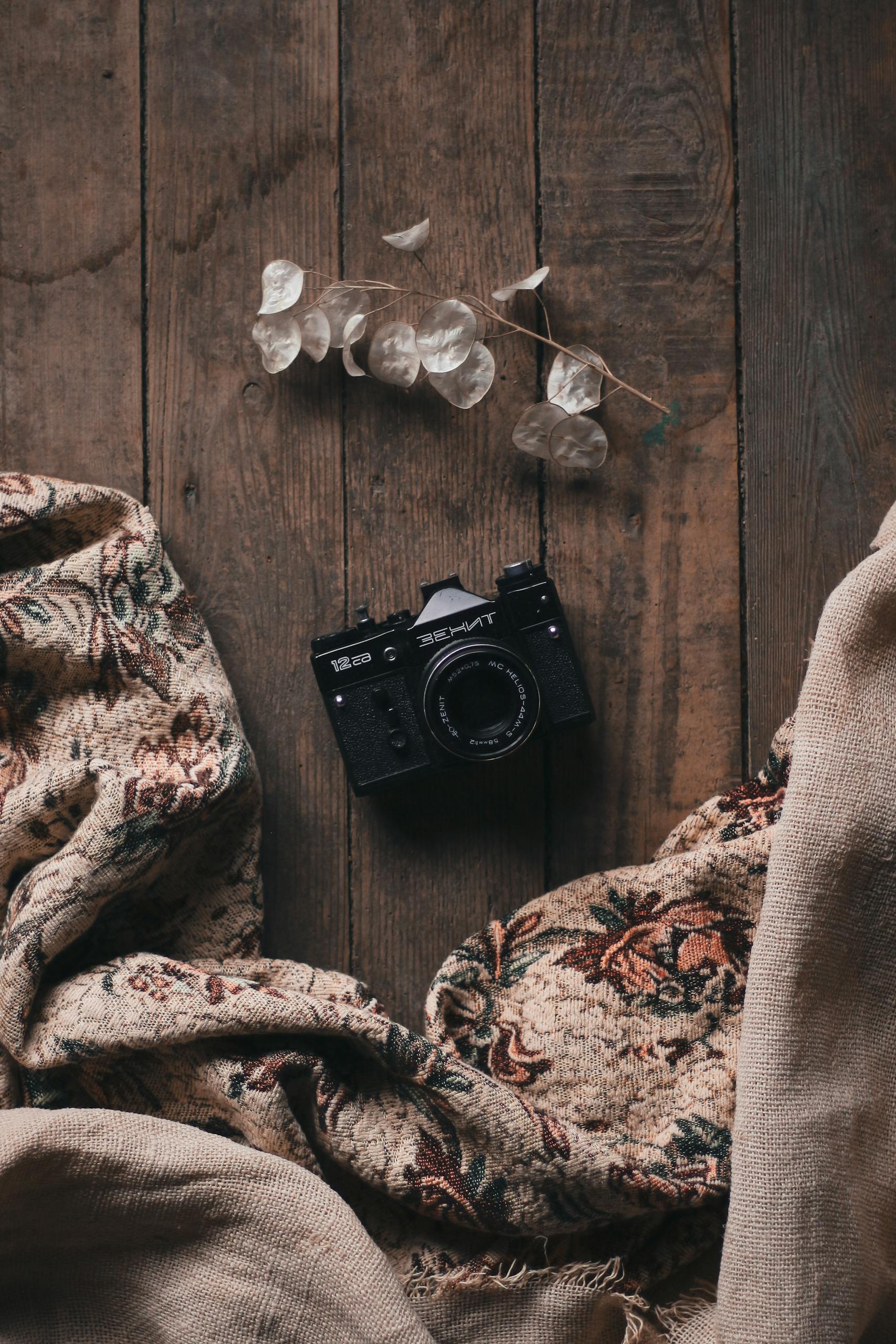 Top view of vintage photo camera and pushed back blanket on wooden floor near dried twig of lunaria